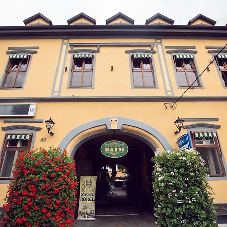 Pension Kokel Dumbraveni  Exterior foto